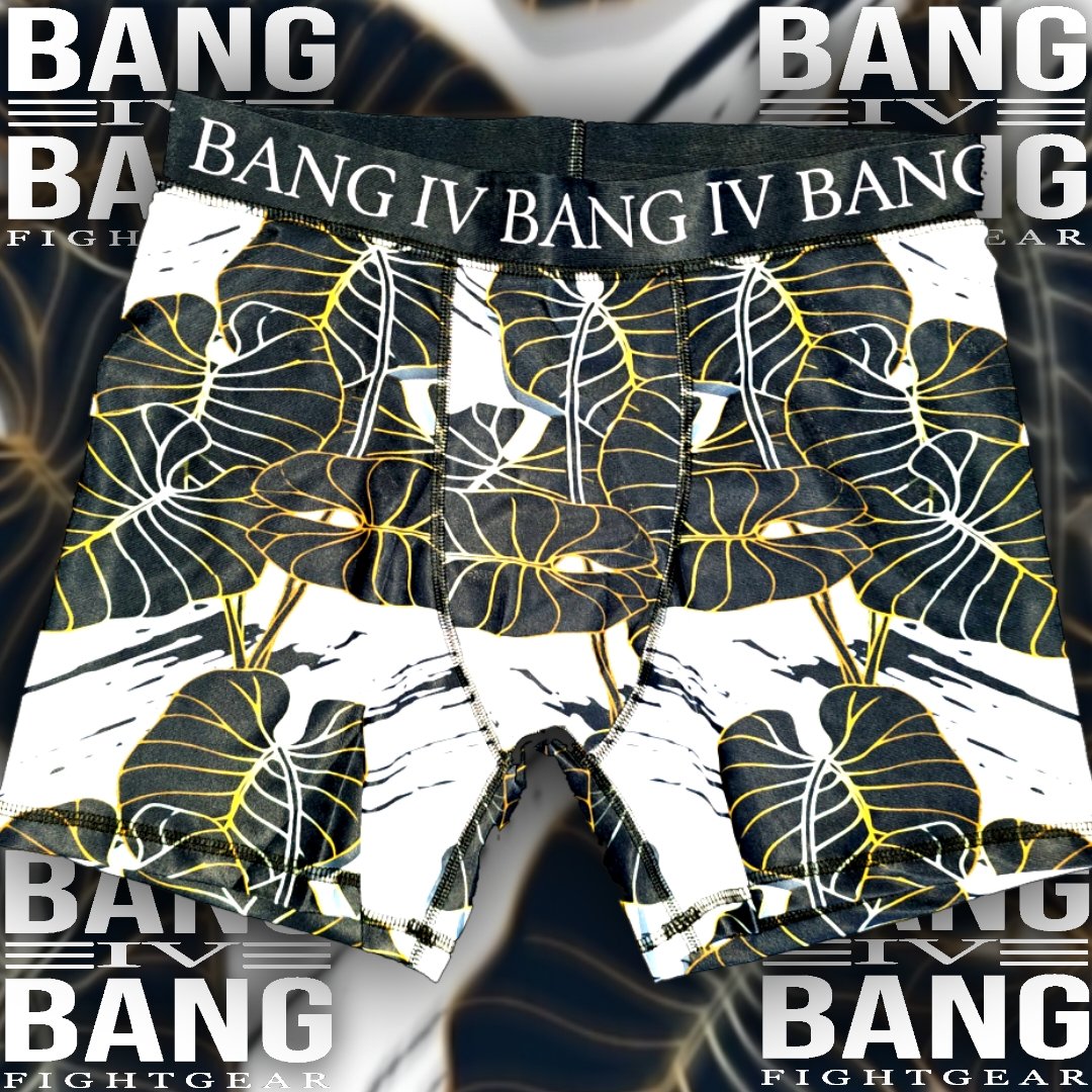 Bang4Bang Kalo Briefs | Bang4Bang Fight Gear