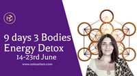 9 Days 3 Bodies Energy Detox