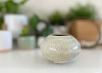 Image 3 of Neutral Urchin Vase