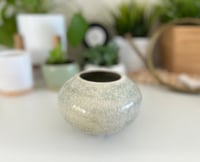 Image 1 of Neutral Urchin Vase