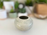Image 4 of Neutral Urchin Vase