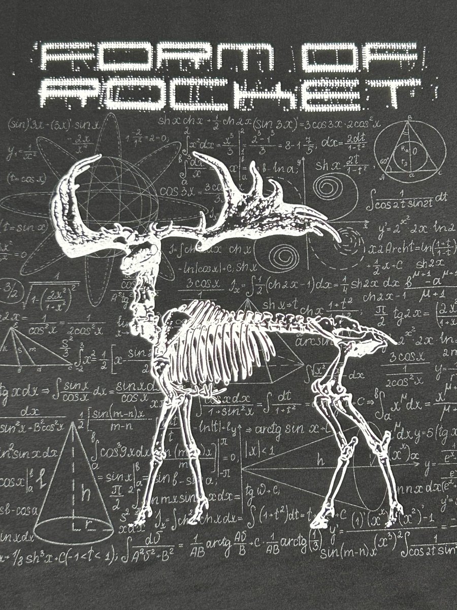 Image of Form of Rocket Math Buck T Shirt