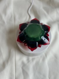 Image 3 of Pan African lotus 