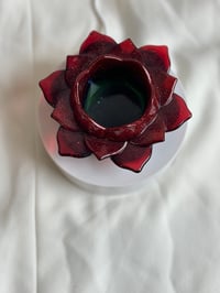 Image 1 of Pan African lotus 