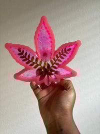 Image 1 of Pink Garden