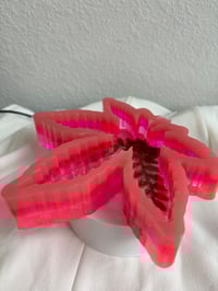 Image 3 of Pink Garden