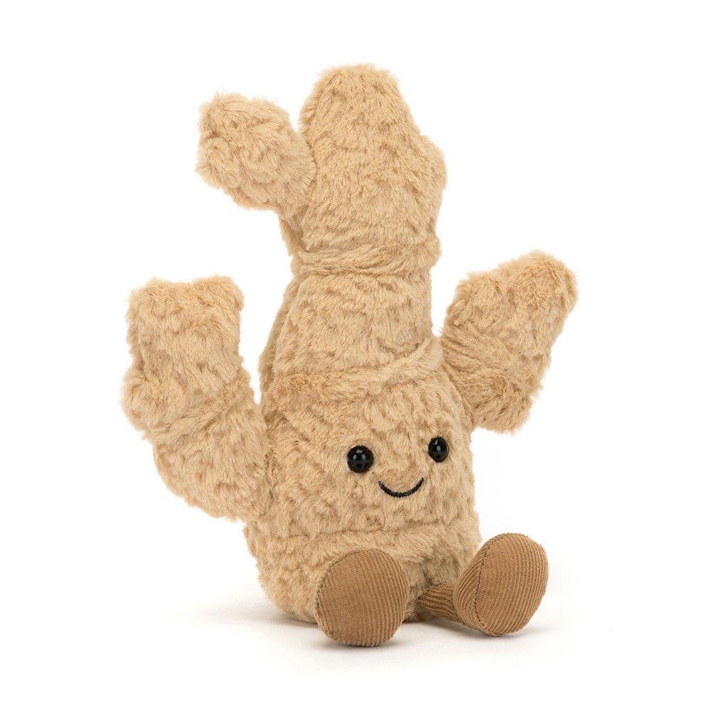 Amusable Ginger | Eccleston Gift Shop