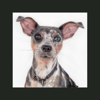 Image 2 of Pet Portrait Commission