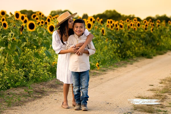 Image of Sunflower Minis $265