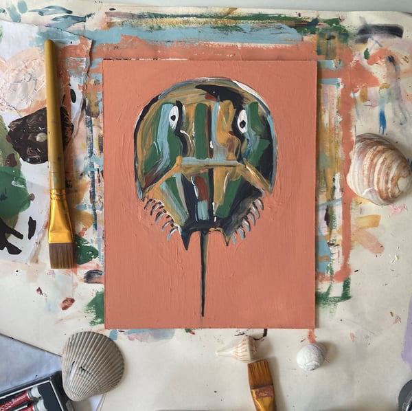 Image of Horseshoe Crab