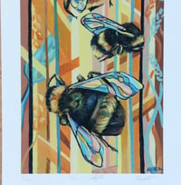 Image 4 of Bees in Cornfield 