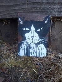 Image 10 of Tuxedo Cat 