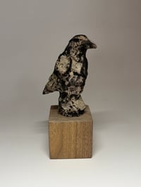 Image 2 of “Karl”