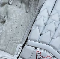 Image 2 of 2024 Platinum Edition Test Batting Gloves