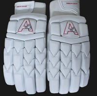 Image 1 of 2024 Platinum Edition Test Batting Gloves