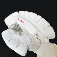 Image 3 of 2024 Platinum Edition Test Batting Gloves