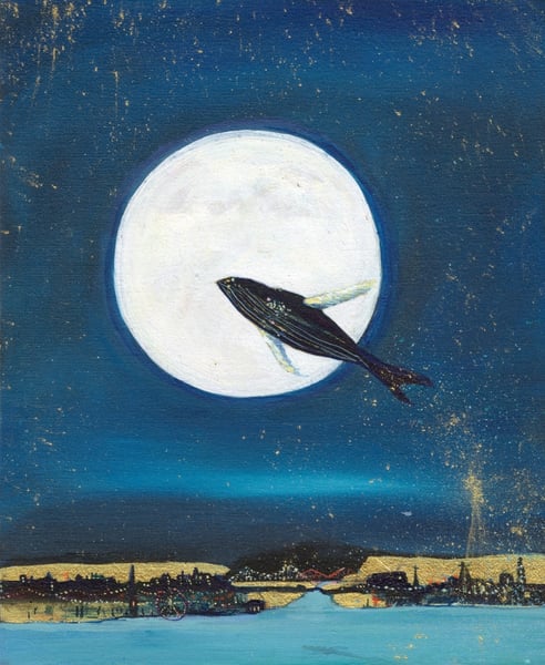 Image of Midnight Whale