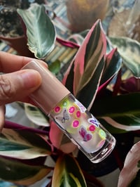 Image 1 of Caribbean Craze Lip Gloss (Set)