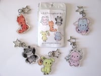 Image 2 of mystery keychain 