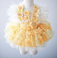 Image 1 of Yellow butterfly luxe outfit