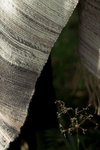 Image 4 of Rose-Mother 