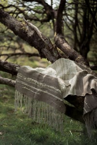 Image 2 of Buzzard-Mother