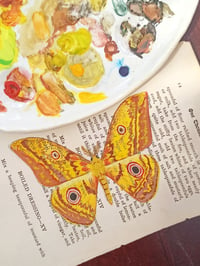 Image 1 of Life in Old Pages Insect n. 43 Japanese Silk Moth 