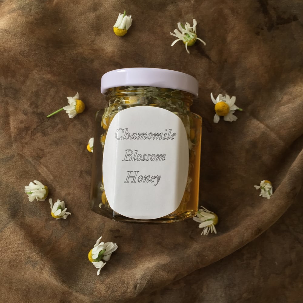 Image of Chamomile Blossom Infused Honey