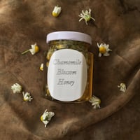 Image 1 of Chamomile Blossom Infused Honey