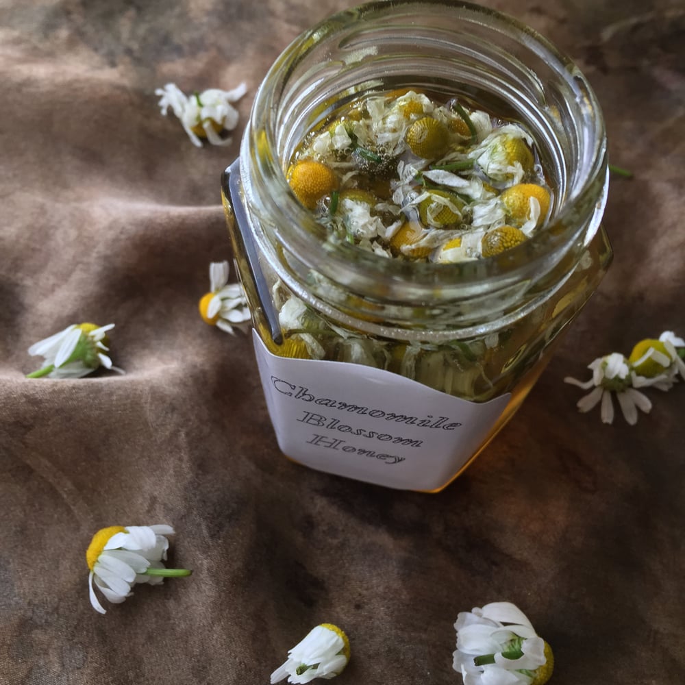 Image of Chamomile Blossom Infused Honey