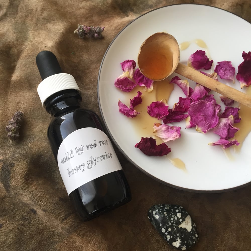 Image of Rose Honey Glycerite Elixir