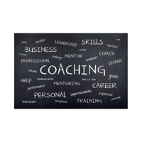 Coaching/Consulting 