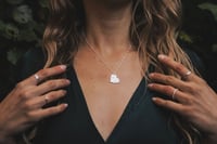 Image 4 of Wrapped in Gold