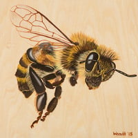 Image 1 of The Hive - Giclèe Bee Prints 