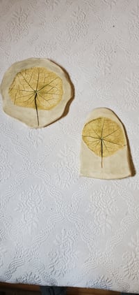 Image 3 of 2 pieces Nasturtium Leaves 