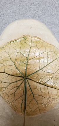 Image 1 of 2 pieces Nasturtium Leaves 