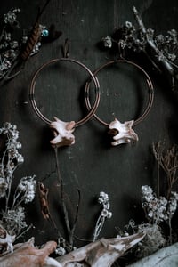 Image 3 of Copper Bone Hoop ear hangers