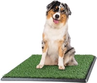 Artificial Grass Puppy Pee Pad for Dogs and Small Pets - 20x25 Reusable 3-Layer Training Potty Pad w