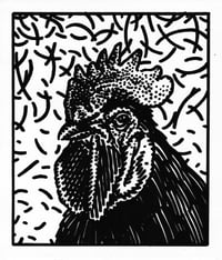 ROOSTER