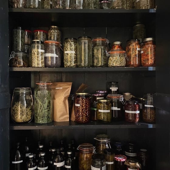 Image of BUILDING YOUR HOME APOTHECARY-AUTUMN EDITION, FULL DAY, SUNDAY SEPT. 8th, 9:30-4 pm