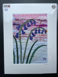 Image 1 of Bluebells Print