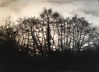 Image 1 of Goodbye Winter Light