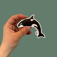 Killer Whale 3in Sticker (Orca Sticker)