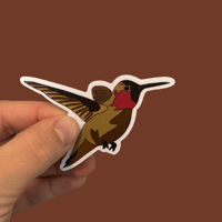 Anna's Hummingbird 3in Sticker