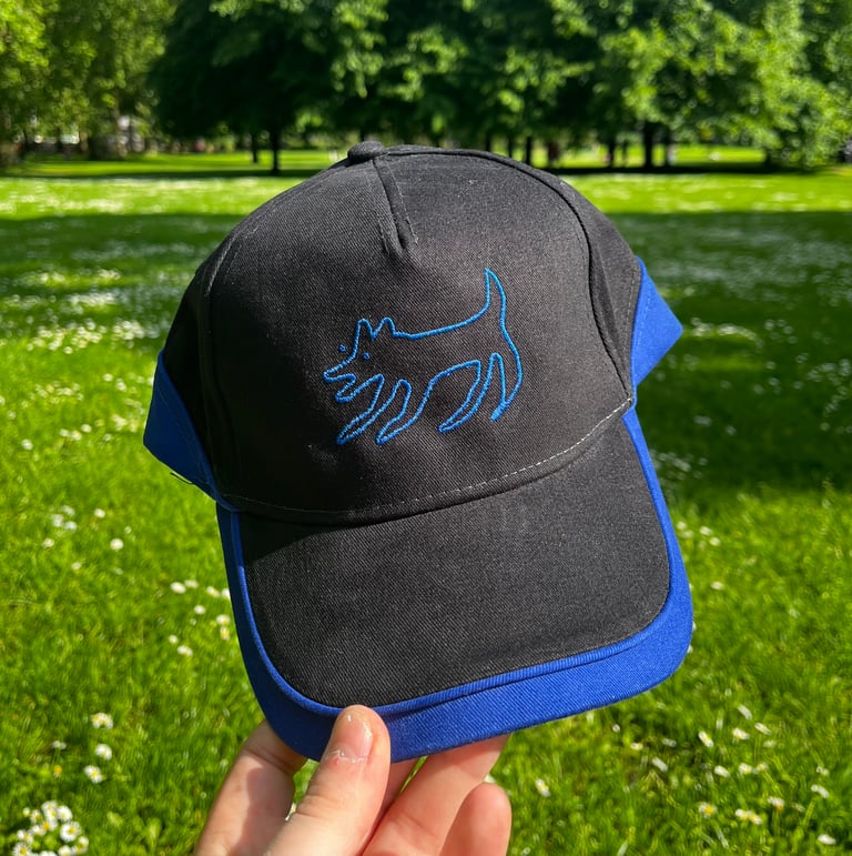 Dog Cap