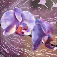 Image 1 of Orchids Radiance