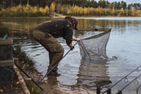 Image 4 of Korda Spring Bow Net Kustom