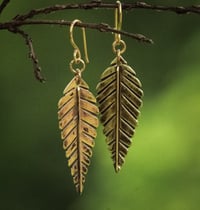 Image 1 of Leaf Earrings - Brass