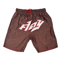 Image 1 of 1of1 FLAY Basketball Shorts