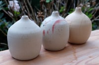 Image 4 of Elegant vases.